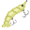 Shrimp Lure